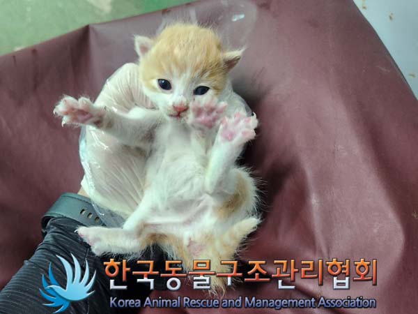 종료(자연사) 한국…